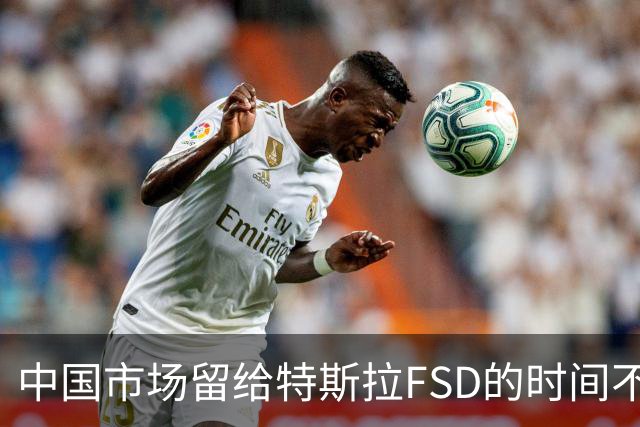 中国市场留给特斯拉FSD的时间不多了？
