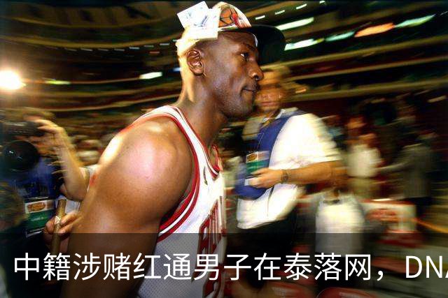 中籍涉赌红通男子在泰落网，DNA检测意外牵出新疑点