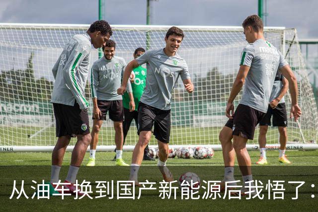 从油车换到国产新能源后我悟了：宁可花多点钱，也要坚持3不买