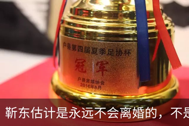 靳东估计是永远不会离婚的，不是因为他和老婆财产纠葛太多